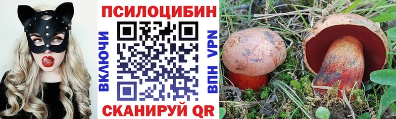 Галлюциногенные грибы мухоморы  купить   МЕГА как зайти  Истра 